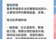 养猪大王获取方法及技巧？