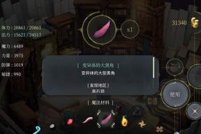 《魔女之泉4声望获取攻略》（探索多种途径）