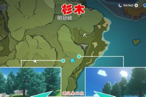 如何在游戏中快速找到刺葵木采集点（如何在游戏中快速找到刺葵木采集点）