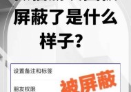 小队屏蔽功能如何开启？设置自我屏蔽的步骤是什么？