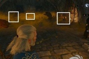 《巫师3》中女性角色模型未加载怎么办？