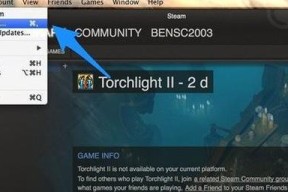 《王牌英雄Steam版》无法正常启动的解决方法（教你轻松解决Steam版《王牌英雄》启动问题）