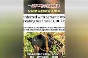 《快速刷熊肉，畅游以往日不再》（游戏攻略大全）