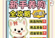 魔域狗怎么养？需要哪些注意的事项？