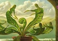 《密室逃脱》游戏深绿色房间逃脱攻略（无处可逃！如何在深绿色房间中寻找线索并成功逃脱）