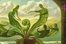 《密室逃脱》游戏深绿色房间逃脱攻略（无处可逃！如何在深绿色房间中寻找线索并成功逃脱）