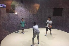《疯狂的麦咭》游戏踩开关实用性技巧解析（掌握技巧）