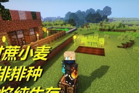 我的世界小麦种子有什么用？全面解析小麦种子的多种用途