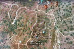 巫师3狂猎伊勒瑞斯打法是什么？详细解析攻略在哪里找？