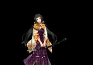 《执剑之刻德川忠长》立绘背景资料大揭秘（以游戏为主）