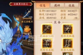 《放开那三国》游戏中的张辽魅力解析（征战无敌）