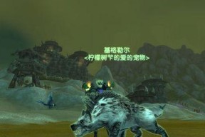 魔兽世界（征服漩涡尖塔）