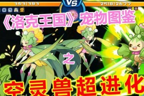 洛克王国空灵魔法的使用方法和效果是什么？