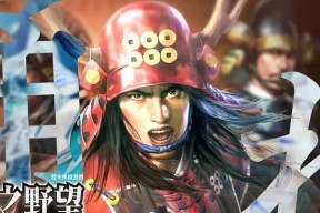 《信长之野望新生》如何高效进行内政发展？遇到问题怎么办？