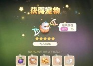 魔域宠物怎么升星？提升宠物星级的秘诀是什么？