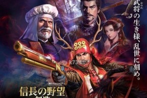 《信长之野望新生》如何使用人脉功能？常见问题有哪些？