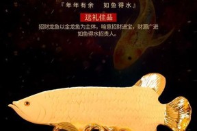 探寻新大陆金龙鱼的垂钓技巧（以梦想为引领）