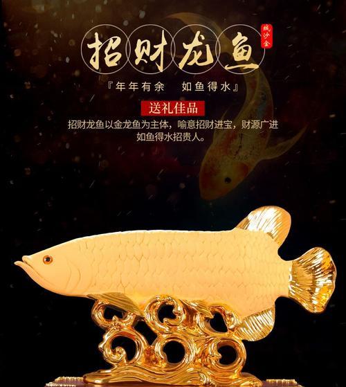 探寻新大陆金龙鱼的垂钓技巧（以梦想为引领）  第1张