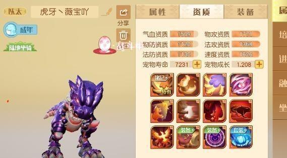 穿越时空裂缝，探索梦想新大陆（一场游戏旅程的奇幻冒险）  第1张