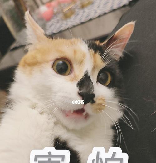 放纵自己，游戏人生（用游戏的乐趣迎接成功）  第1张
