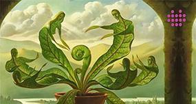 《密室逃脱》游戏深绿色房间逃脱攻略（无处可逃！如何在深绿色房间中寻找线索并成功逃脱）  第1张