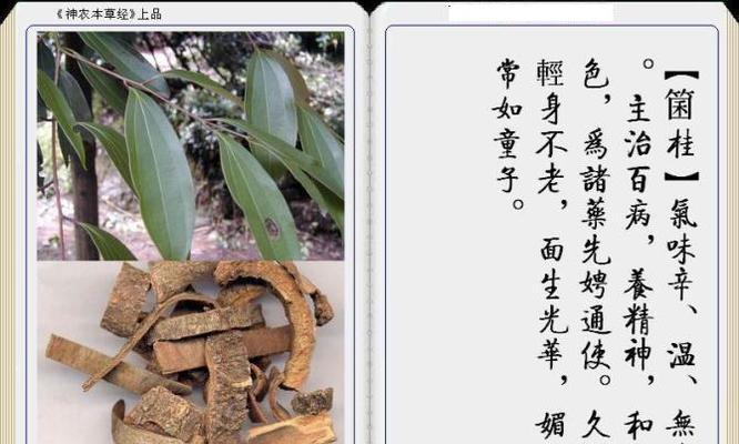 如何在游戏中节省草药开销（草药太贵怎么办）  第1张