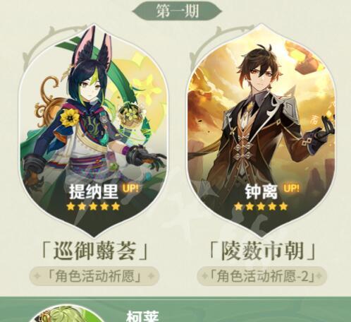 打造强力战斗阵容，成为万众瞩目的神选之人（打造强力战斗阵容）  第3张