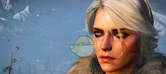 《巫师3》女性mod怎么用？操控女性角色的详细步骤是什么？  第3张