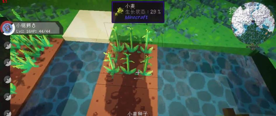 我的世界小麦种子有什么用？如何合成小麦种子？  第2张
