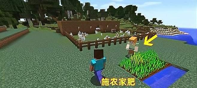 我的世界小麦种子有什么用？全面解析小麦种子的多种用途  第2张