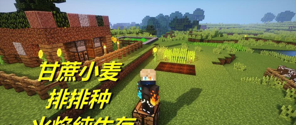 我的世界小麦种子有什么用？全面解析小麦种子的多种用途  第1张