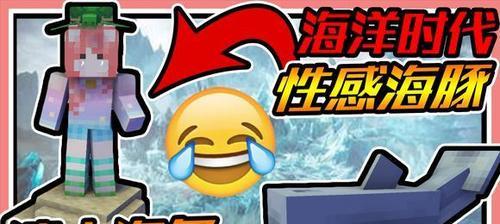我的世界海豚驯服技巧是什么？驯服海豚需要哪些步骤？  第2张