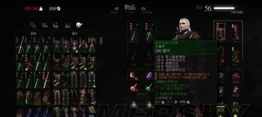 巫师3狼派加点配装技巧是什么？如何玩好巫师3狼派？  第1张
