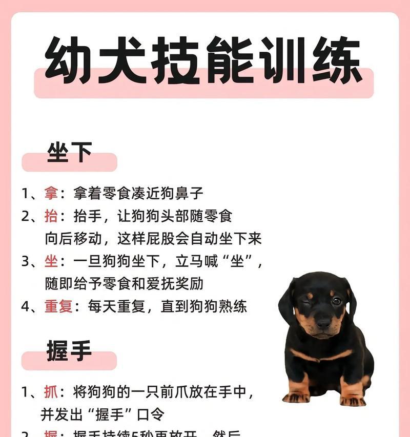 疯狗技能的正确名称是什么？疯狗技能的使用技巧有哪些？  第3张