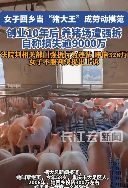 养猪大王获取方法及技巧？  第2张
