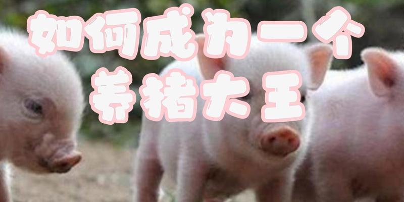 养猪大王获取方法及技巧？  第3张