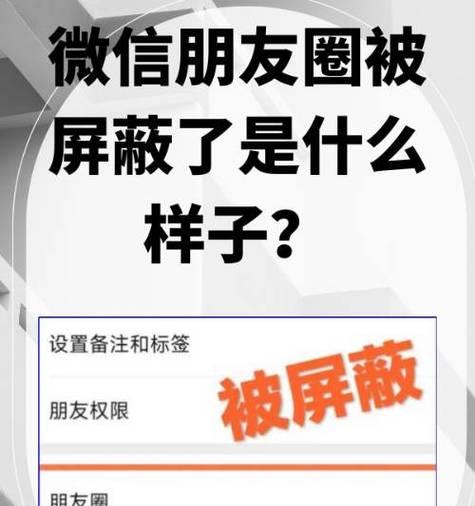 小队屏蔽功能如何开启？设置自我屏蔽的步骤是什么？  第1张