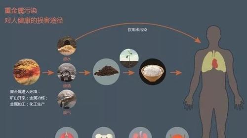 一枪两点伤害的判定标准是什么？  第3张